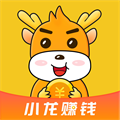 小龙试玩